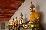 Sitting Buddhas, Wat Pho (Reclining Buddha Temple), (Wat Phra Chetuphon), Bangkok, Thailand, Southeast Asia, Asia