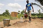 Man watering plants, Tori, Benin, West Africa, Africa