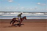 Horse rider on a beach near Azemmour, Morocco, North Africa, Africa