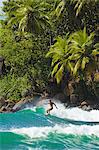 Surfer riding a wave in the western corner of the south coast beach at Mirissa, near Matara, Southern Province, Sri Lanka, Asia