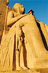 Temple of Luxor, Thebes, UNESCO World Heritage Site, Egypt, North Africa, Africa