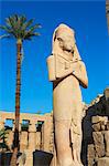 Colossus of Rameses II, Temple of Amun, Karnak, Thebes, UNESCO World Heritage Site, Egypt, North Africa, Africa