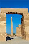 Obélisque d'Hatchepsout, Temple d'Amon, Karnak, Thèbes, Site du patrimoine mondial de l'UNESCO, en Égypte, en Afrique du Nord, Afrique