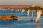 Felouques sur le Nil, Assouan, en Égypte, en Afrique du Nord, Afrique