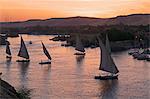 Feluccas on the River Nile, Aswan, Egypt, North Africa, Africa