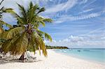 Saona Island, Dominican Republic, West Indies, Caribbean, Central America