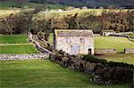 Grange de champ proche Aysgarth, Yorkshire Dales, Yorkshire, Angleterre, Royaume-Uni, Europe