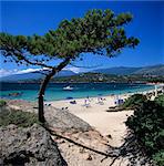 Beach view, Cala Rossa, South East Corsica, Corsica, France, Mediterranean, Europe