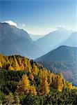 Golden larches and the Julian Alps from the Mangart pass, Goriska, Slovenia, Europe