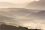 Brume matinale près de Kipi, Zagoria, Épire, Grèce, Europe