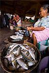 Woman selling fish, Mapusa Market, Goa, India, Asia