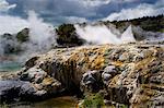 Whakarewarewa Thermal Reserve, North Island, New Zealand, Pacific