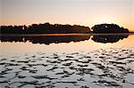 Un étang (étang) dans le parc naturel de La Brenne (Pays aux Mille Etangs) (pays d'un mille lacs), Indre, vallée de la Loire, Centre, France, Europe