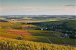 Bue, Sancerre, Cher, Val de Loire, Centre, France, Europe