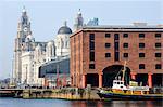 Royal Liver Building and Albert Docks, UNESCO World Heritage Site, Liverpool, Merseyside, England, United Kingdom, Europe