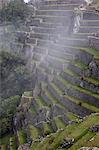 Agricultural terraces in the Inca city, Machu Picchu, UNESCO World Heritage Site, Peru, South America