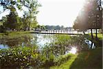 Pigeon Lake, région des lacs Kawartha, en Ontario, Canada