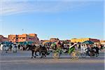 Horse-Drawn Cart, place du marché place Jemaa el-Fna, Marrakech, Maroc