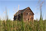 Vieille abandonnée grange en bois sur terrain herbeux, Pincher Creek, Alberta, Canada