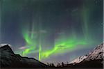 Nordlicht bei Tromsø, Troms, Norwegen