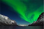 Northern Lights near Tromso, Troms, Norway