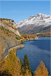 Route qui longe le lac de Sils en automne, Piz Surlej et Munt Arlas, St Moritz, District de Maloja, Engadin, Grisons, Suisse