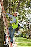 Lineman climbing a ladder to work on wires