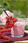 Yoghurt with fresh redcurrants