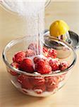Gießen Zucker über die Erdbeeren geben und lassen Macaerate mit Zitronensaft