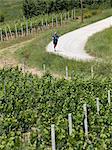 Italy, Man jogging past vineyard