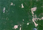 Déforestation, Para, au Brésil, en 1992, True Image Satellite en couleurs. Vrai couleur image satellite montrant la déforestation en Amazonie dans l'état du Para au Brésil. Image prise en 1992, à l'aide de données LANDSAT.