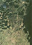 Deforestation, East Rondonia, Brazil, In 2001, True Colour Satellite Image. True colour satellite image showing deforestation in Amazonia in the Eastern part of the State of Rondonia, Brazil. Image in portrait format taken in 2001, using LANDSAT data.