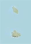 Antigua et Barbuda, carte en Relief