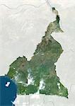 Cameroon, True Colour Satellite Image With Border and Mask