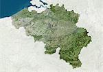 Belgium, True Colour Satellite Image With Boundaries of Regions