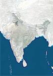 India and the State of Haryana, True Colour Satellite Image