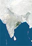 India and the State of Orissa, True Colour Satellite Image