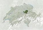 La Suisse et le Canton de Schwyz, True Image Satellite en couleurs