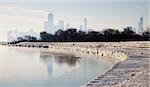 Icy morning in Chicago, Illinois.