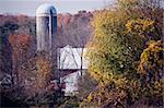 Silo surrounded by the fall colors. Wisconsin, USA.