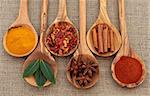 Turmeric, bay leaf herb, chili flakes, star anise, cinnamon sticks and cayenne pepper spice in olive wood spoons over hessian.