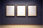 blank frames in the gallery, 3d rendering