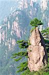 Huangshan mountain peak with trees on top, china