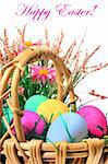 Easter colored eggs in the basket on the white background. Happy Easter!