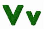 Illustration of capital and lowercase letter V made of grass