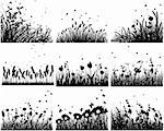 Nine vector grass silhouettes backgrounds. All objects are separated.