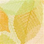 Light autumn leaves pattern. EPS 8 vector file included