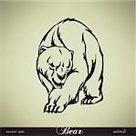 Bear vector illustration. EPS include