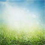 Spring or summer abstract nature background with grass in the meadow and sunny sky in the back