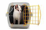 cat closed inside pet carrier isolated on white background